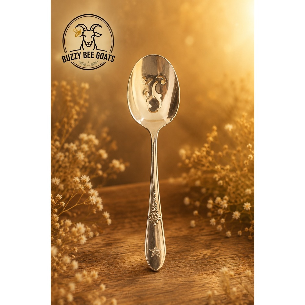 VINTAGE WM A ROGERS MEADOWBROOK SILVERPLATE SERVING SPOON ONEIDA 5.25"